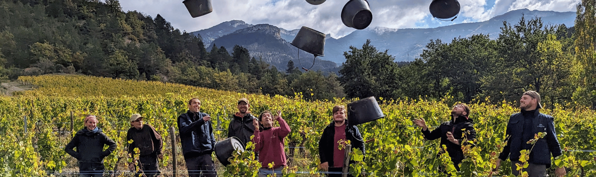 Vendanges Caves Carod